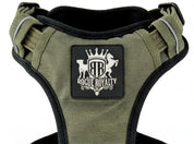 Dog Harness - Active X Green