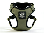 Dog Harness - Active X Green