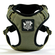 Green Rogue Royalty support padded dog harness with a brand logo on a white background