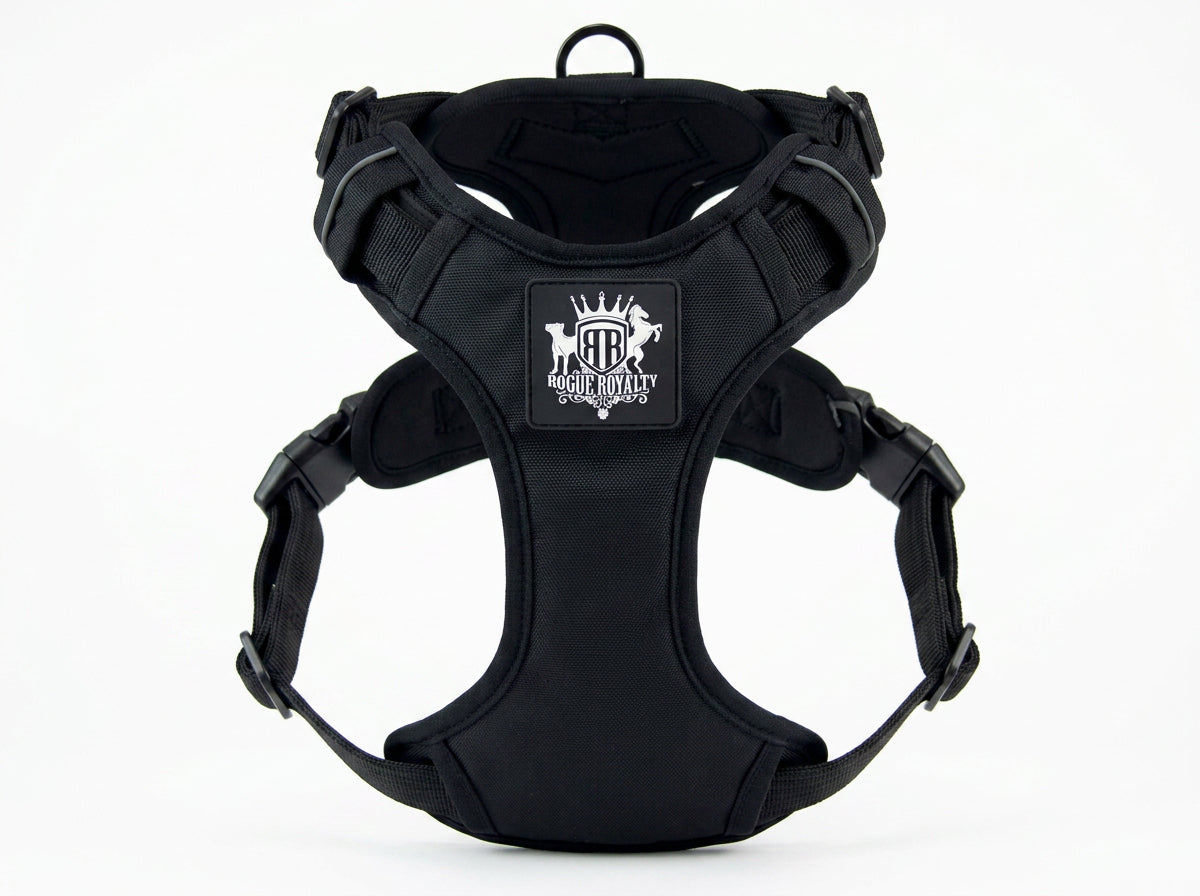 activex-dog-harnesses-black-2.jpg