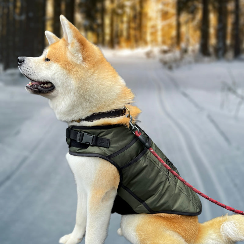 Active Dog Jacket Fast Fit - Emerald
