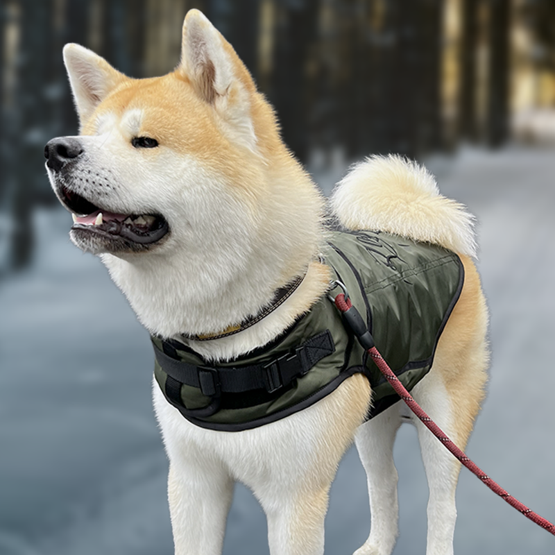 Active Dog Jacket Fast Fit - Emerald