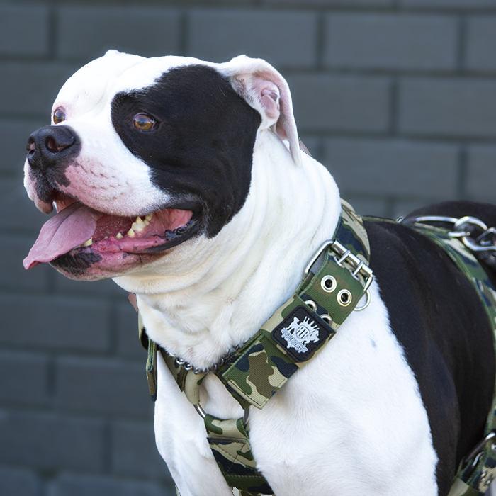 SUPATUFF® Dog Harness Heavy Duty Camo