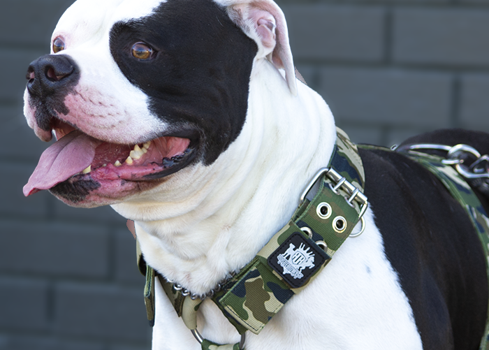 SUPATUFF® Strong Dog Harness Camo (Regular Fit)