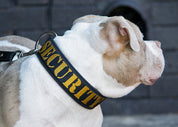 SUPATUFF® Strong Dog Collar SECURITY (Wide Fit)