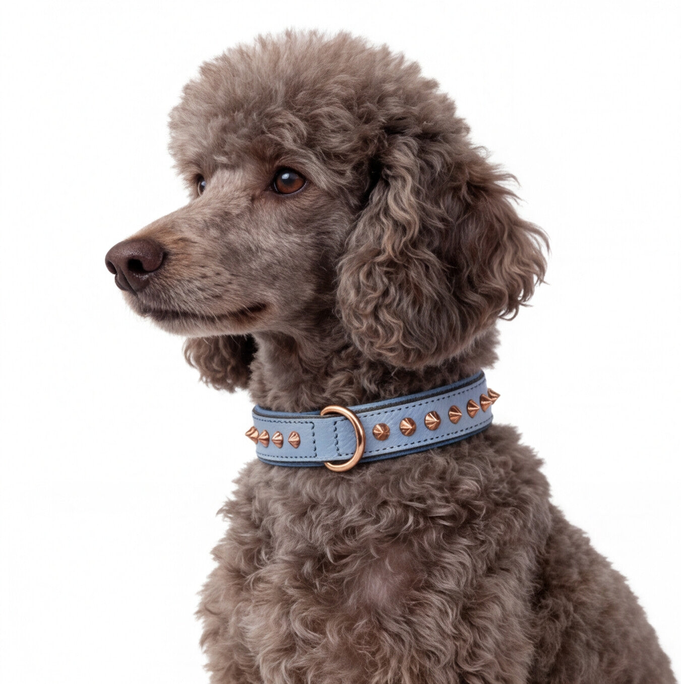 Hand Made Leather Dog Collar - Imperial Baby Blue & Rose Gold (Slim fit)