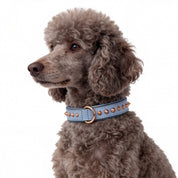 Hand Made Leather Dog Collar - Imperial Baby Blue & Rose Gold (Slim fit)