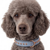 Hand Made Leather Dog Collar - Imperial Baby Blue & Rose Gold (Slim fit)