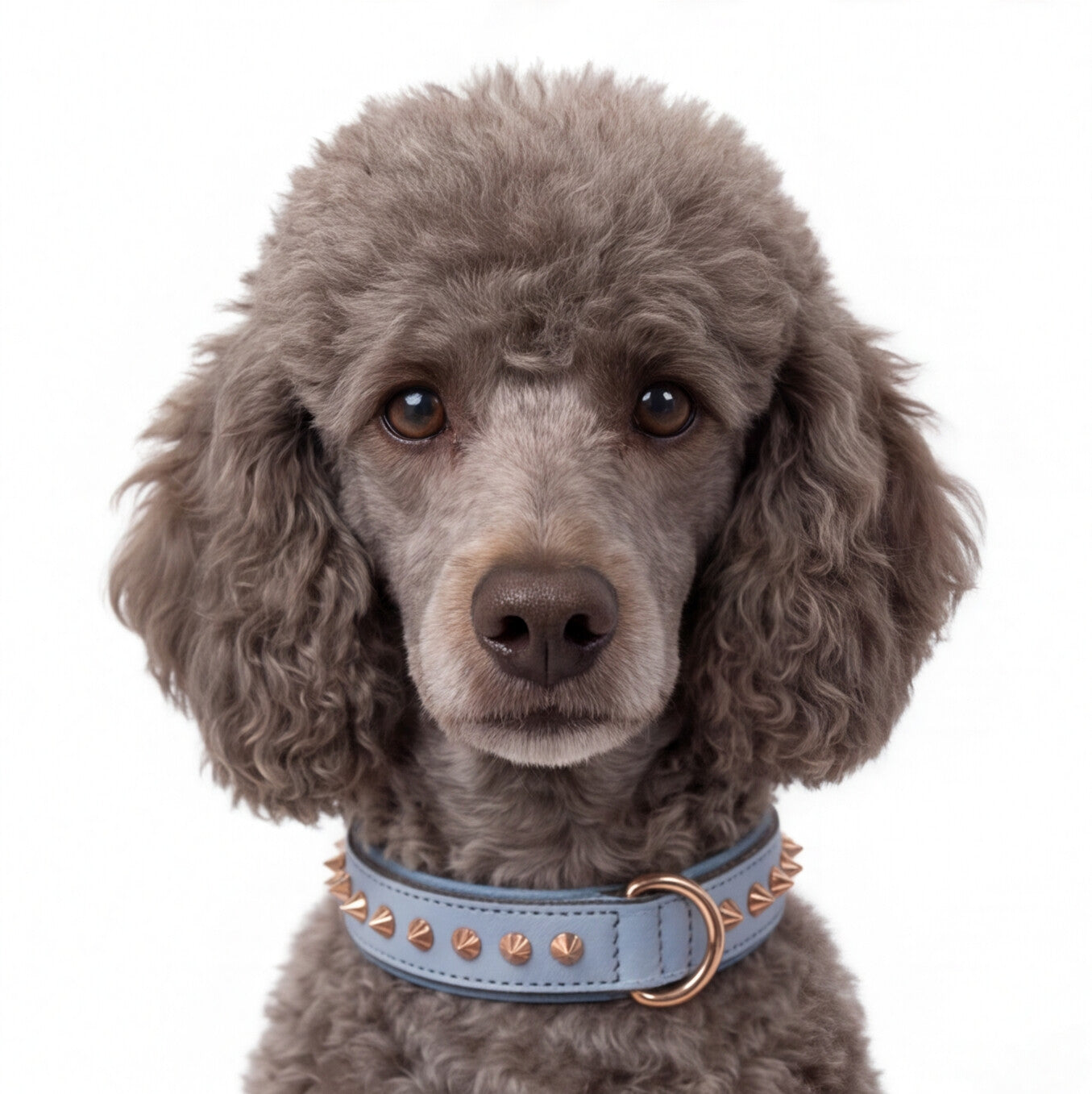Hand Made Leather Dog Collar - Imperial Baby Blue & Rose Gold (Slim fit)