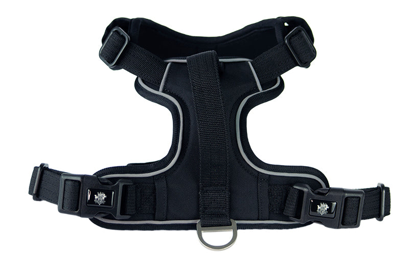 black-click-on-dog-harness