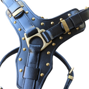 black leather dog harnesses