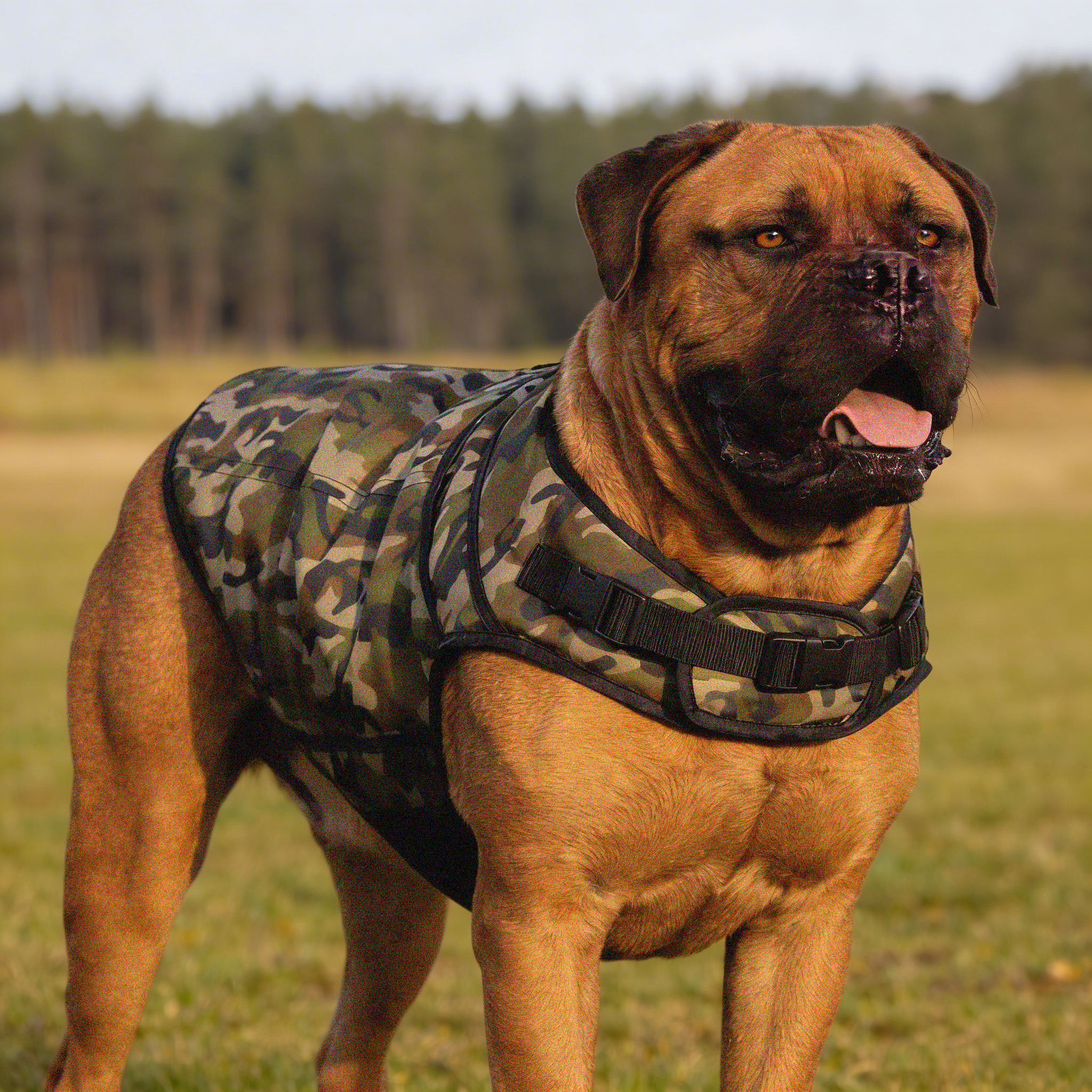 Rogue Active Dog Jacket - Camo