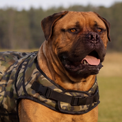 Dog Jacket Rogue Active - Camoflague