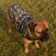Rogue Active Dog Jacket - Camo