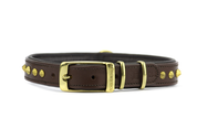 rear view of Ruthless Brown & Brass Slimfit Dog Collar showing sturdy brass buckle