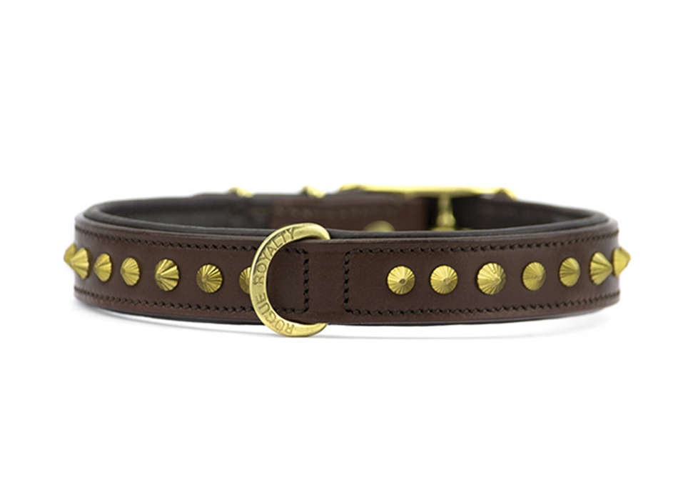 Front view of brown slim handmade leather dog collar with padding and brass studs.