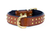 Side view of hand made brown leather dog collar with brass studs and fittings.