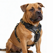 Leather Dog Harness - "Attila" Black & Brass