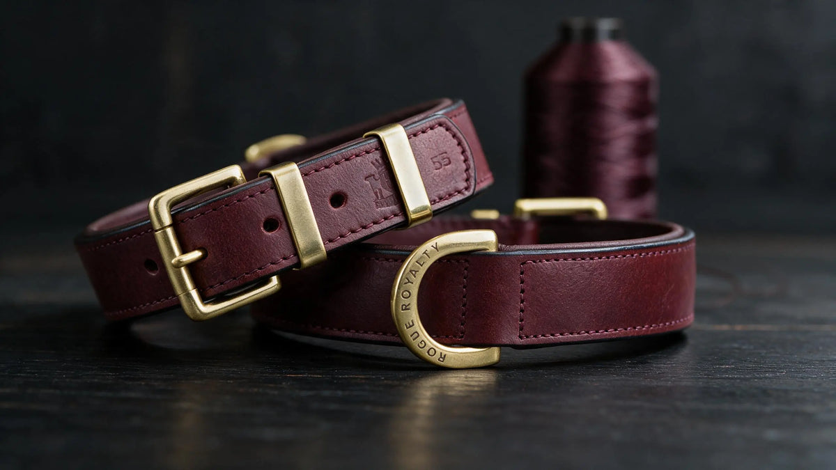 Rogue Royalty dog collars, harnesses and winter jackets featured in the Australian dog products sale