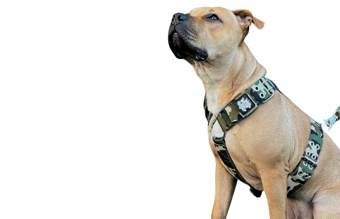 SUPATUFF® Strong Dog Harness Camo (Regular Fit)