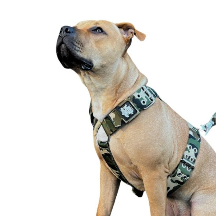 camo-dog-harness-pitbull