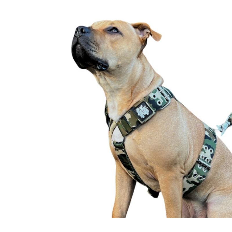 camo-dog-harness-pitbull