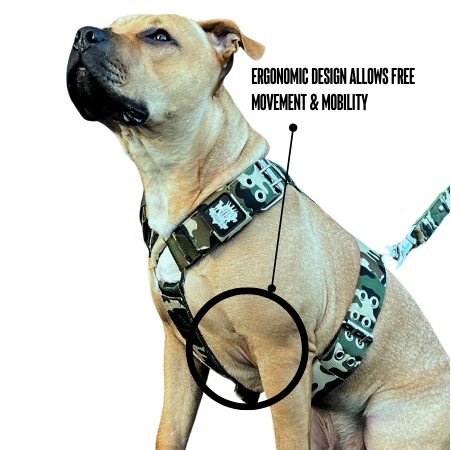 camo-dog-harnesses