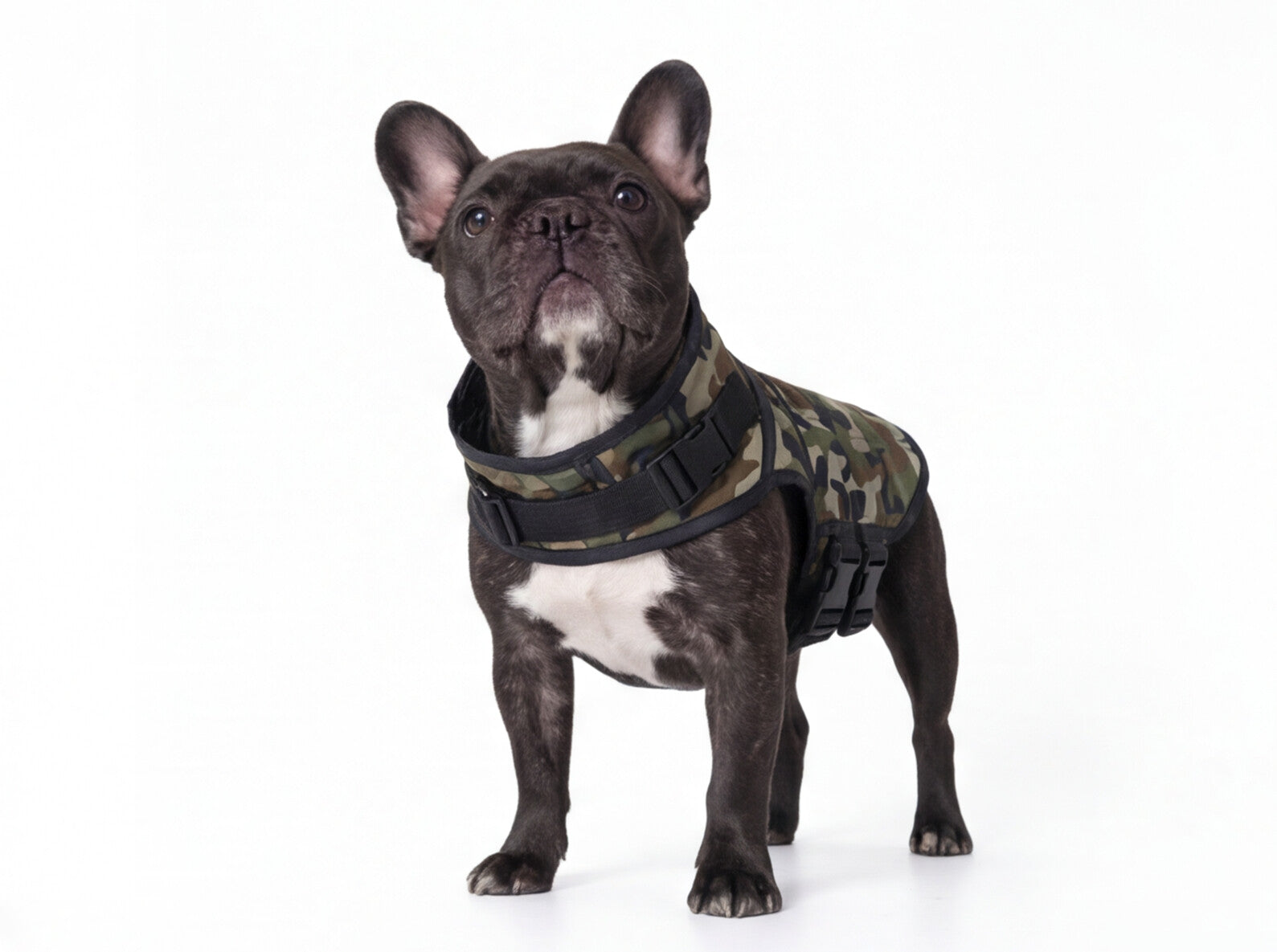 Dog Jacket Rogue Active - Camoflague