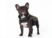 Dog Jacket Rogue Active - Camoflague