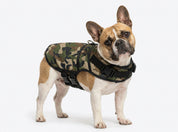 Dog Jacket Rogue Active - Camoflague