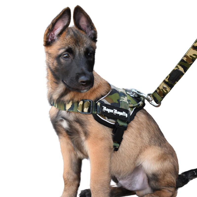 Puppy Harness - Quick Fit Camo