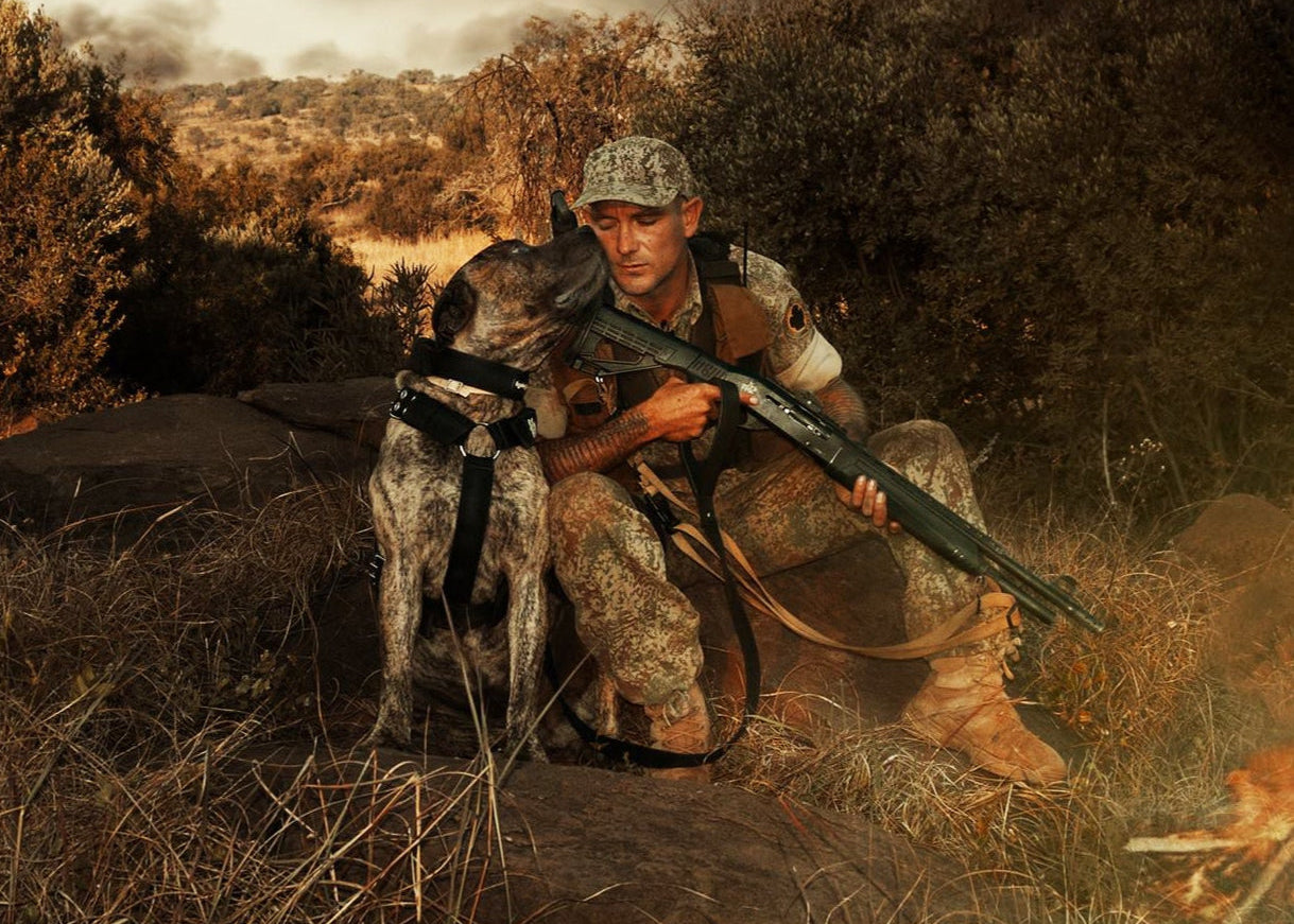 Large strong anti-poaching training dog wearing black Supatuff dog harness