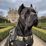 Quick Fit Harness - Camoflague