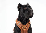 Leather Dog Harness - "Attila" Brown/Brass