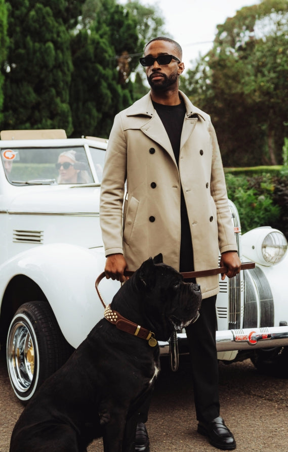 cane-corso2.jpg