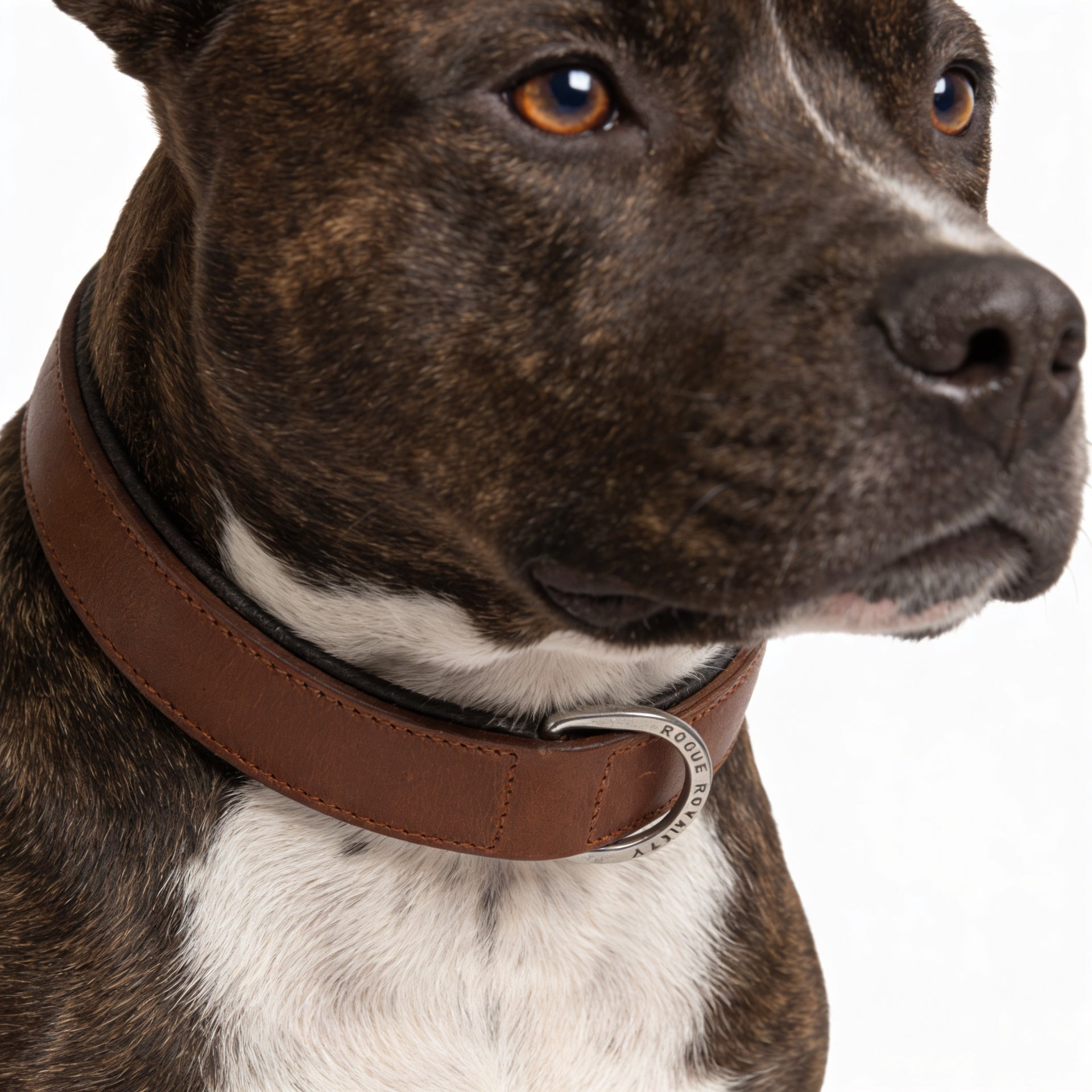 Hand Made Leather Dog Collar- Classic Brown & Chrome (Regular Fit)