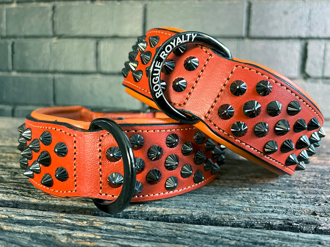 Top view of hand made orange leather dog collar with black fittings.