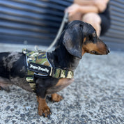 Small Dog Harness - Quick Fit Camo - On Sale