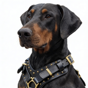 Leather Dog Harness - "Attila" Black & Brass