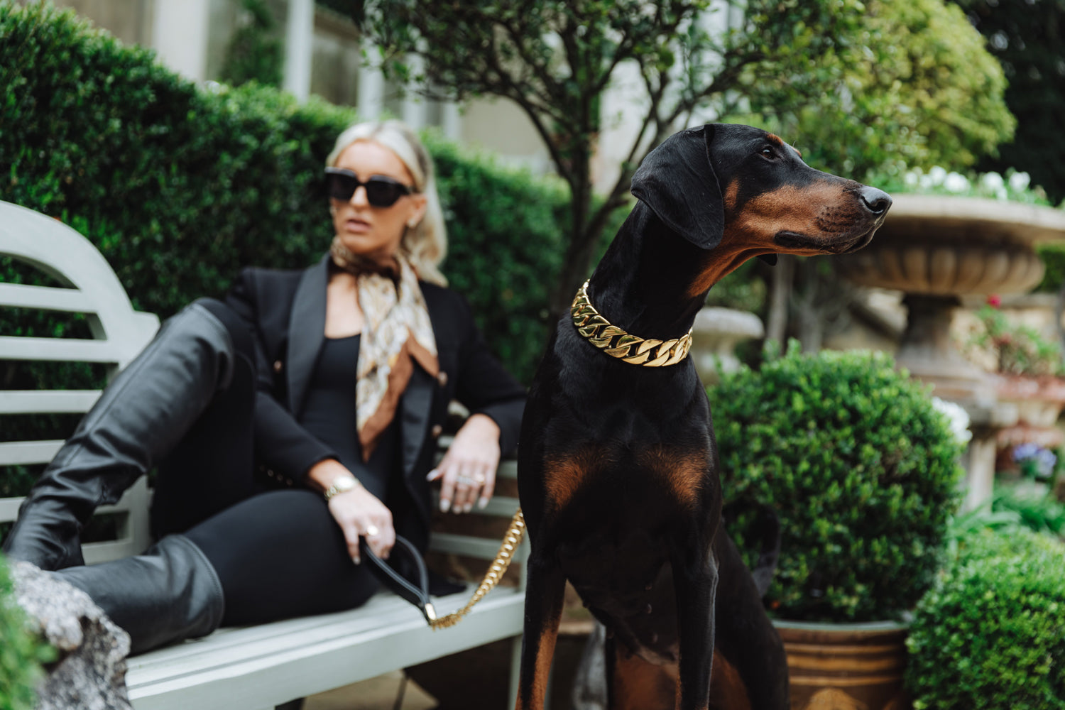 Luxury Chain Link Dog Collars From Rogue Royalty