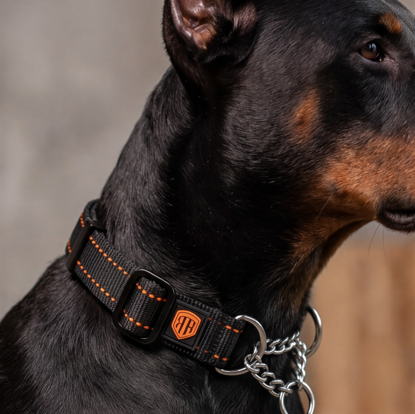 MARTINGALE COLLAR