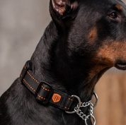 MARTINGALE COLLAR