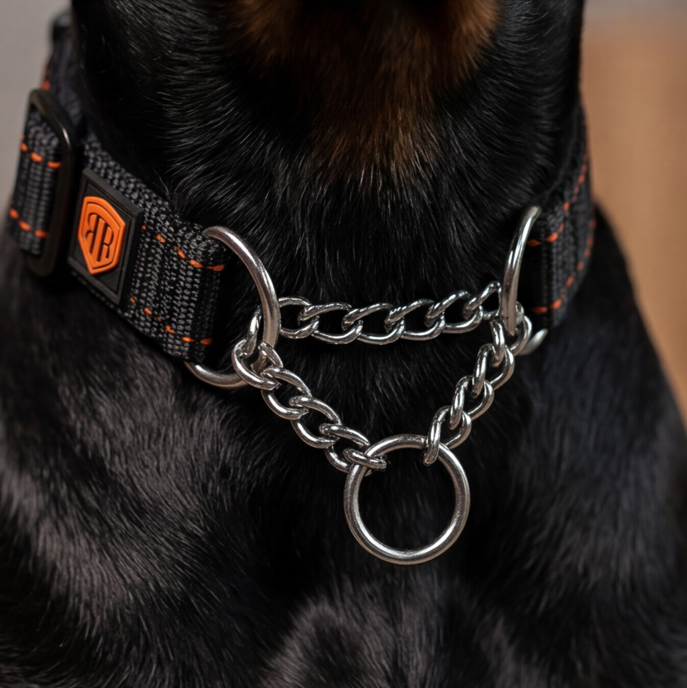 dobermann-martingale-dog-collars-2.png
