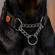 MARTINGALE COLLAR
