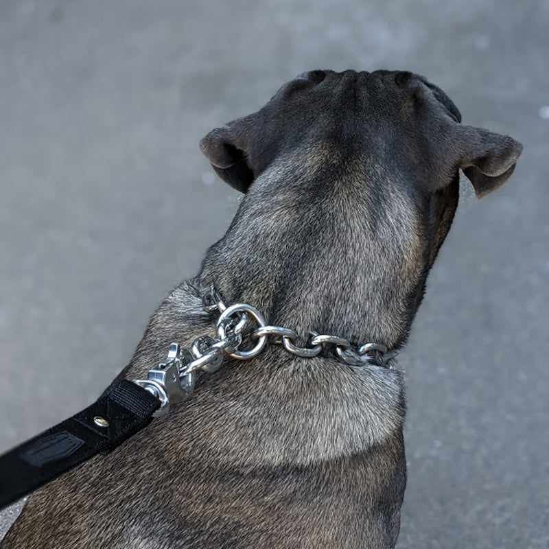 Chain Dog Collar - Titan Ultra Heavy Chain Link