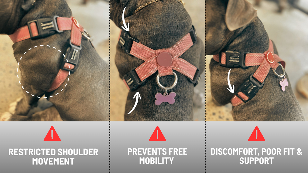 BEWARE WHEN BUYING A HARNESS