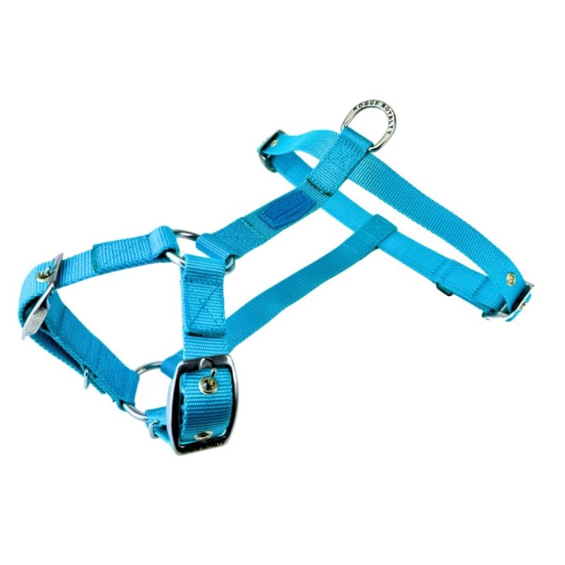 dog-harness-turquoise  