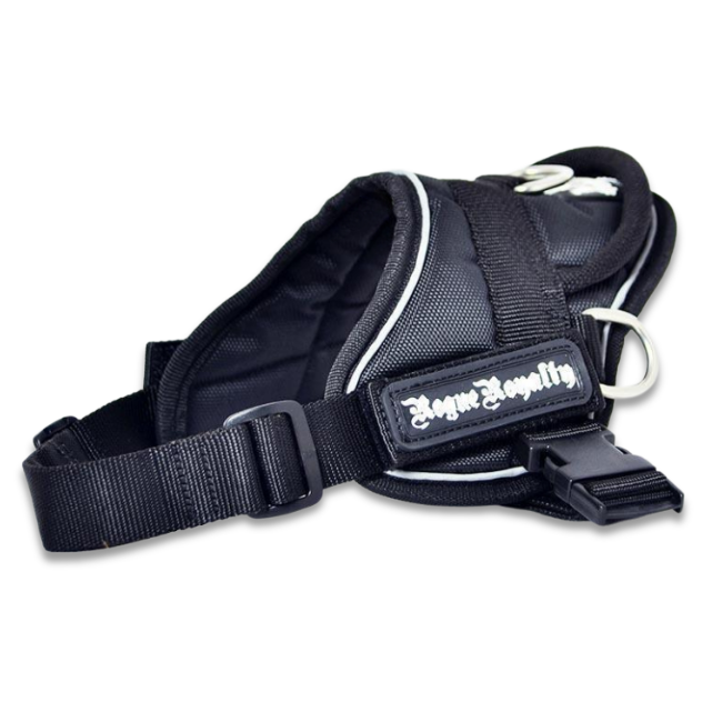 Quick Fit Dog Harness