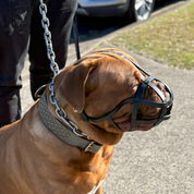 Short-Nose Muzzle - Leather Basket