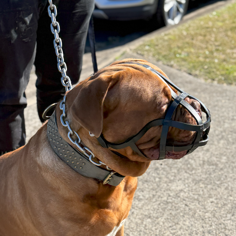 Short-Nose Muzzle - Leather Basket